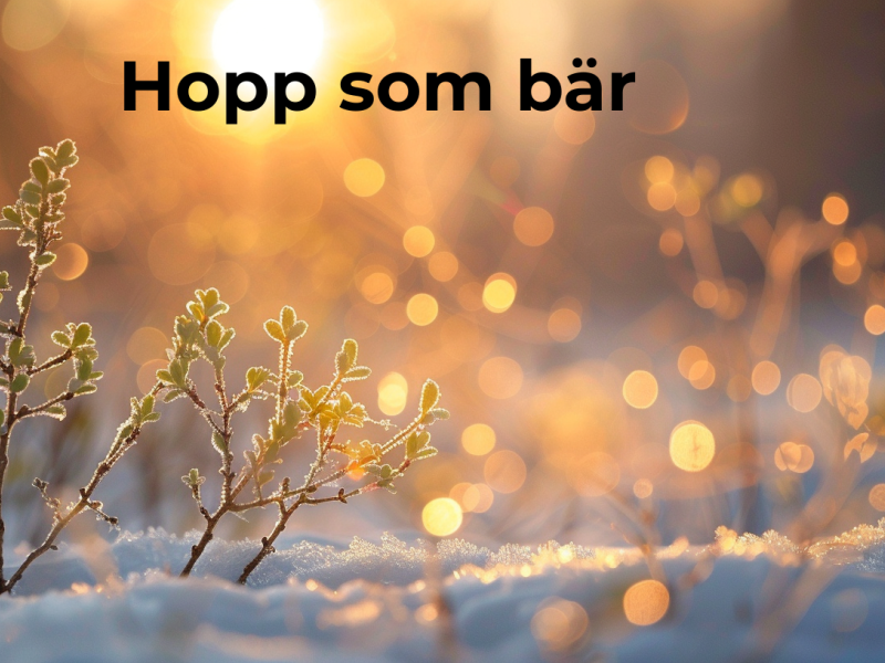 M&aring;nadsord f&ouml;r mars: Hopp som b&auml;r